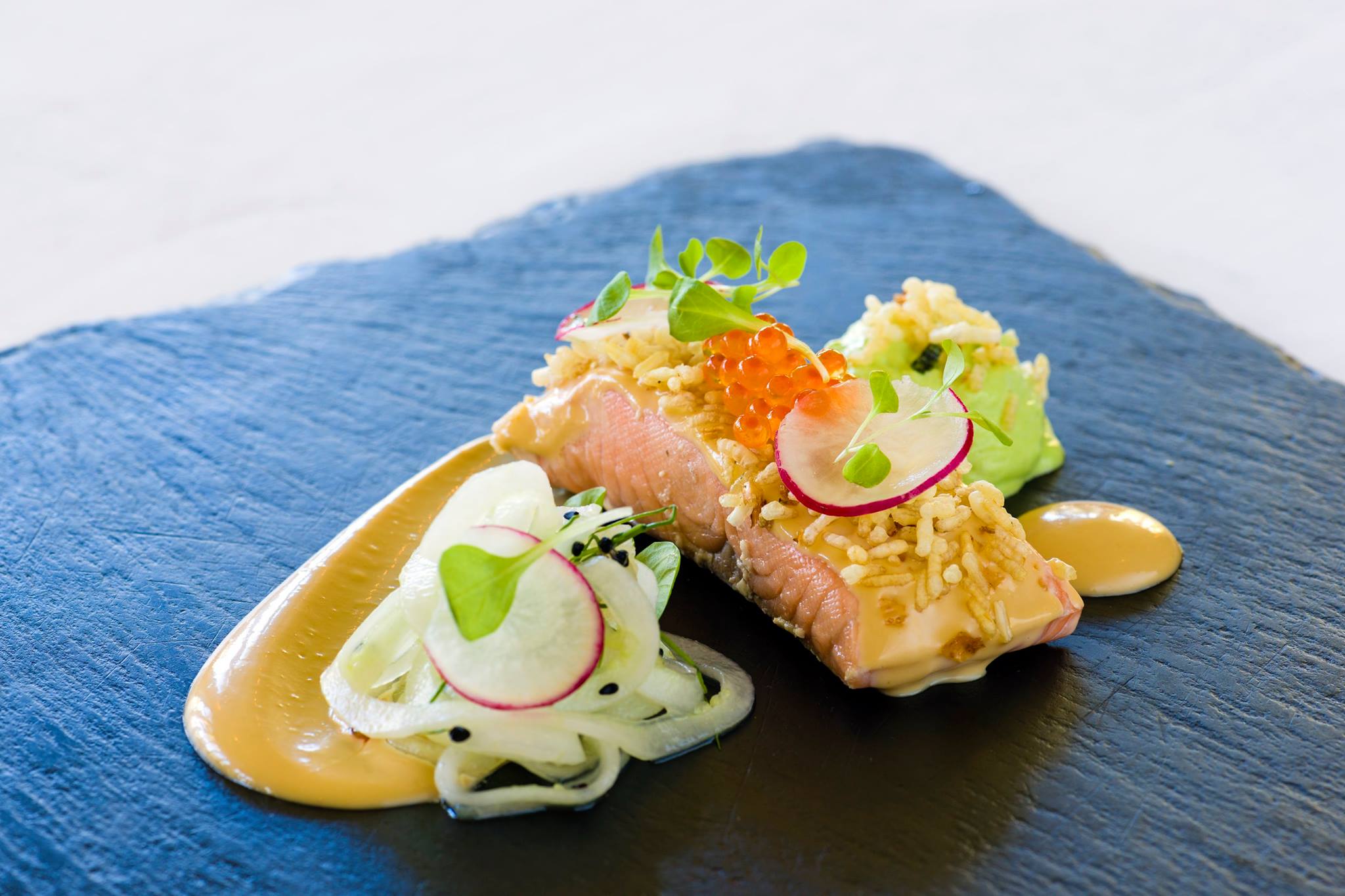 13304987_1129424273769981_8628491294092228550_o