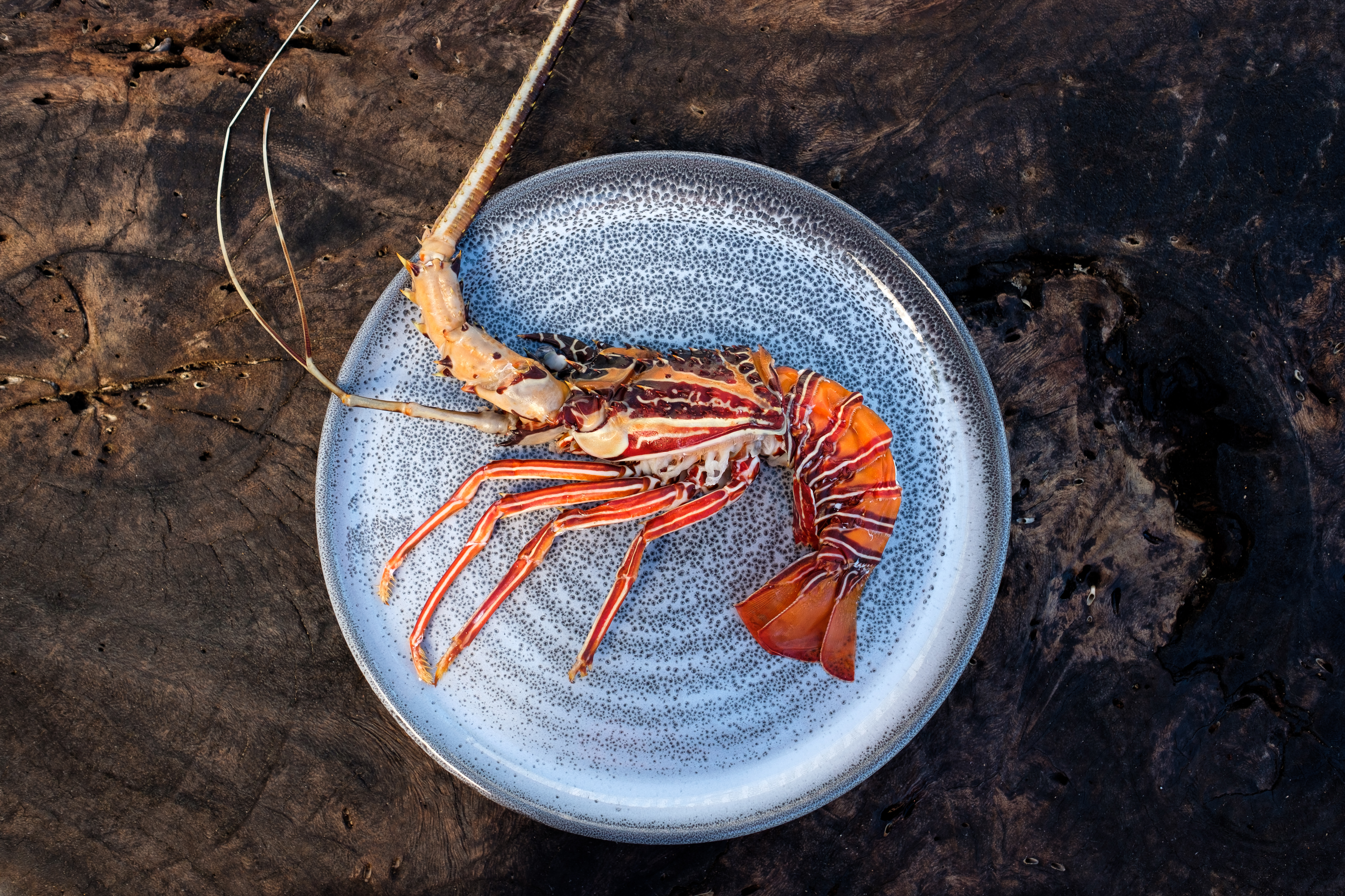 Malolo-Food-RAW38102