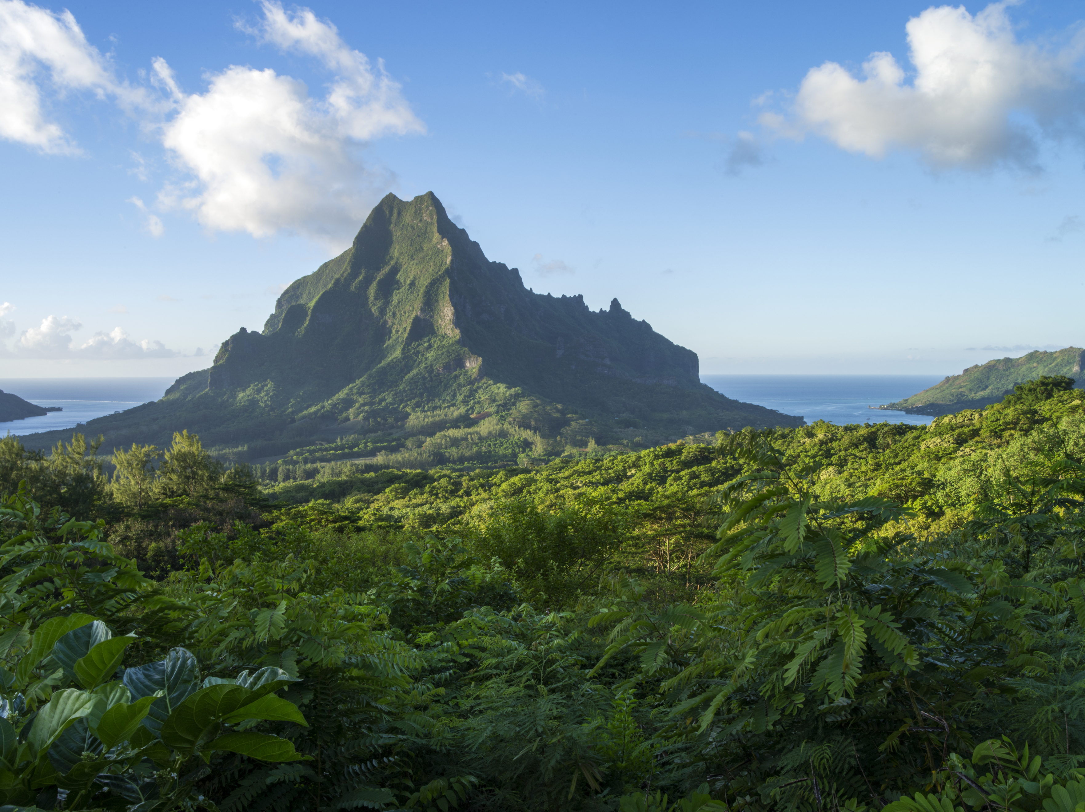 P2_08_MOOREA_TAHITI_023_DK_2017_© David Kirkland