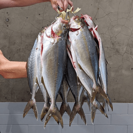 Screenshot_2020-06-10 Fish Butchery ( fishbutchery) • Instagram photos and videos